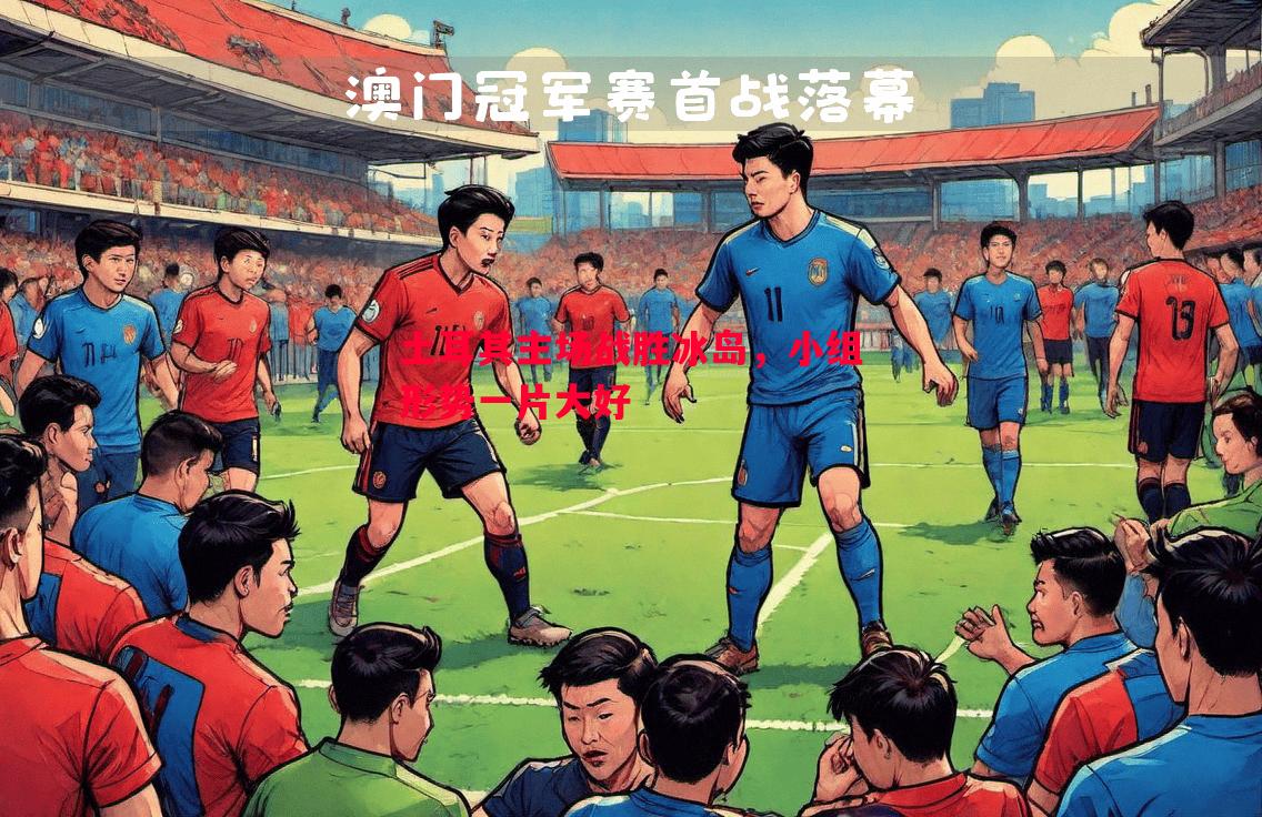 土耳其主场战胜冰岛，小组形势一片大好