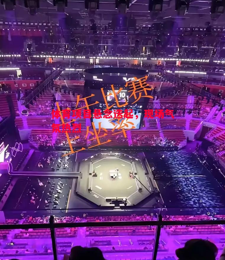 体育项目悬念迭起，现场气氛热烈